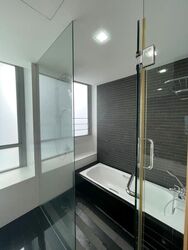 Park Infinia At Wee Nam (D11), Condominium #570203641